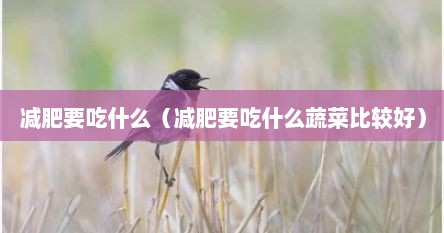 减肥要吃什么（减肥要吃什么蔬菜比较好）
