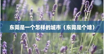 东莞是一个怎样的城市（东莞是个啥）