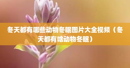 冬天都有哪些动物冬眠图片大全视频（冬天都有啥动物冬眠）