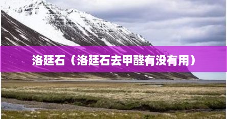 洛廷石真的能除甲醛吗（网上说的洛廷石除甲醛管用吗）