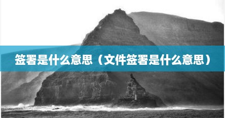 签署是什么意思（文件签署是什么意思）