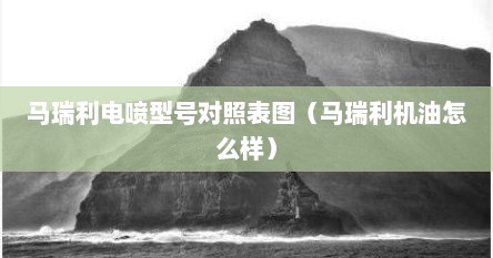 马瑞利机油图片（马瑞利变速箱油质量怎么样）