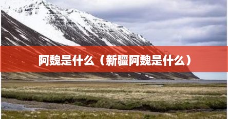 阿魏是什么（新疆阿魏是什么）