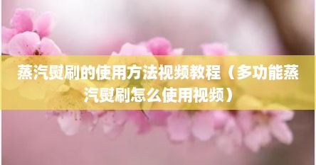 蒸汽熨刷的使用方法视频教程（多功能蒸汽熨刷怎么使用视频）