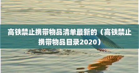 高铁禁止携带物品清单最新的（高铁禁止携带物品目录2020）