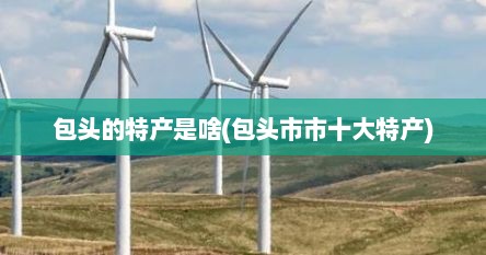 包头的特产是啥(包头市市十大特产)