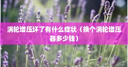 涡轮增压坏了有什么症状（换个涡轮增压器多少钱）