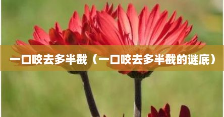 一口咬去多半截（一口咬去多半截的谜底）