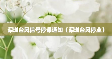 深圳台风信号停课通知（深圳台风停业）