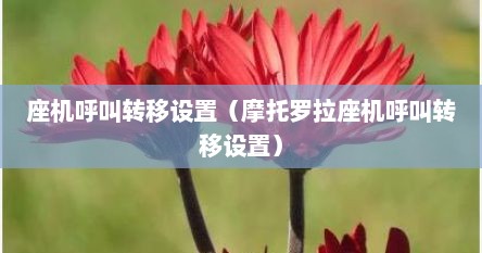 座机呼叫转移设置（摩托罗拉座机呼叫转移设置）