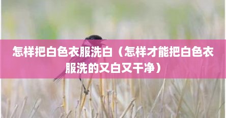 怎样把白色衣服洗白（怎样才能把白色衣服洗的又白又干净）