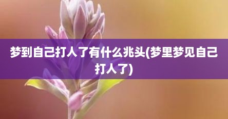 梦到自己打人了有什么兆头(梦里梦见自己打人了)