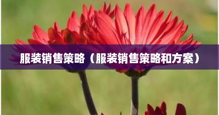 服装销售策略（服装销售策略和方案）