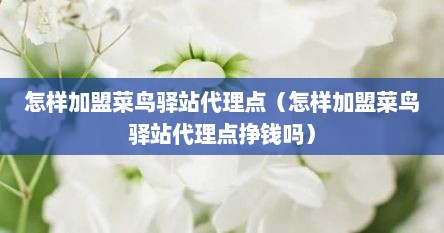 怎样加盟菜鸟驿站代理点（怎样加盟菜鸟驿站代理点挣钱吗）