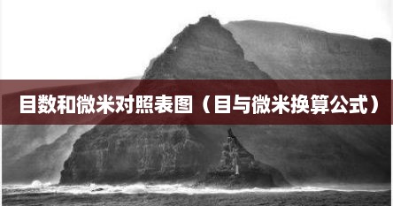 目数与毫米的换算公式是什么（目数和微米）