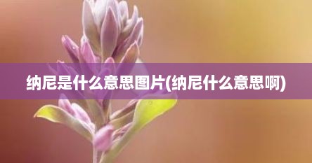 纳尼是什么意思图片(纳尼什么意思啊)