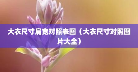 大衣尺寸肩宽对照表图（大衣尺寸对照图片大全）