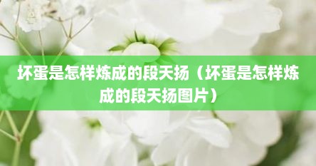 坏蛋是怎样炼成的段天扬（坏蛋是怎样炼成的段天扬图片）