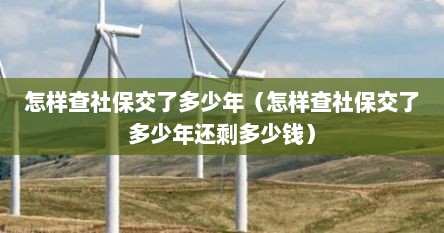 怎样查社保交了多少年（怎样查社保交了多少年还剩多少钱）