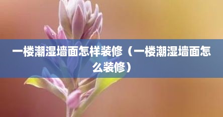 一楼潮湿墙面怎样装修（一楼潮湿墙面怎么装修）