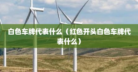 白色车牌代表什么（红色开头白色车牌代表什么）