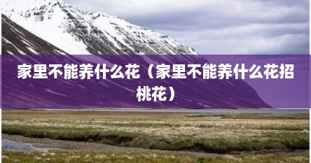 家里不能养什么花（家里不能养什么花招桃花）