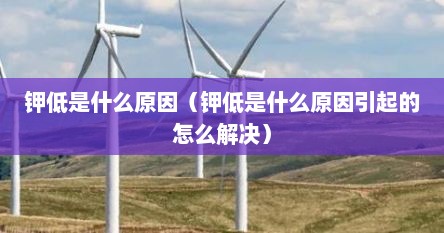 钾低是什么原因（钾低是什么原因引起的怎么解决）