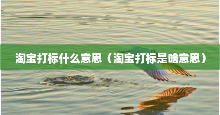 淘宝打标什么意思（淘宝打标是啥意思）
