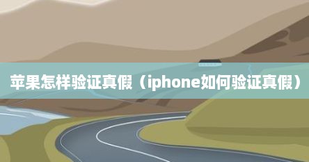苹果怎样验证真假（iphone如何验证真假）