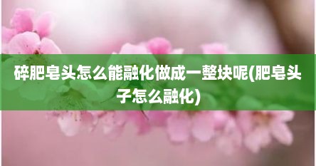 碎肥皂头怎么能融化做成一整块呢(肥皂头子怎么融化)
