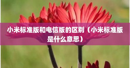 小米标准版和电信版的区别（小米标准版是什么意思）