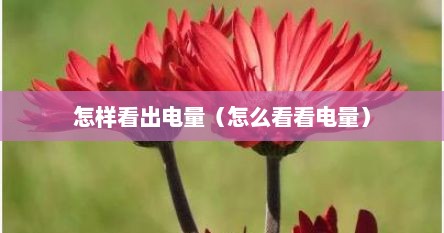 怎样看出电量（怎么看看电量）