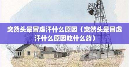 突然头晕冒虚汗什么原因（突然头晕冒虚汗什么原因吃什么药）