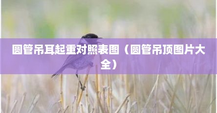 圆管吊耳起重对照表图（圆管吊顶图片大全）