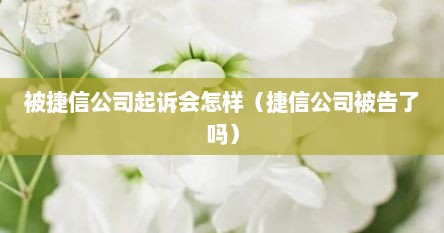 被捷信公司起诉会怎样（捷信公司被告了吗）
