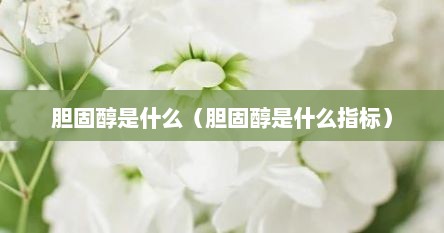 胆固醇是什么（胆固醇是什么指标）