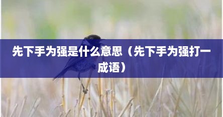 先下手为强是什么意思（先下手为强打一成语）