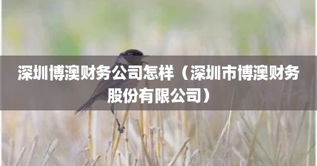 深圳博澳财务公司怎样（深圳市博澳财务股份有限公司）
