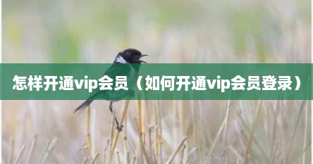 怎样开通vip会员（如何开通vip会员登录）