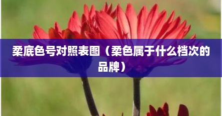 柔底色号对照表图（柔色属于什么档次的品牌）