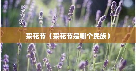 采花节（采花节是哪个民族）