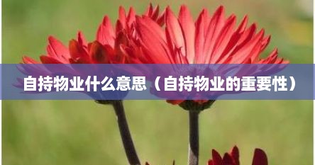 自持物业什么意思（自持物业的重要性）