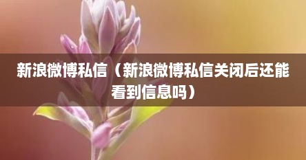 新浪微博私信删除了怎么恢复（新浪微博私信对方能看到吗）