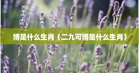 博是什么生肖（二九可博是什么生肖）