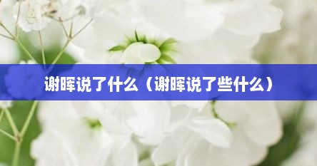 谢晖说了什么（谢晖说了些什么）