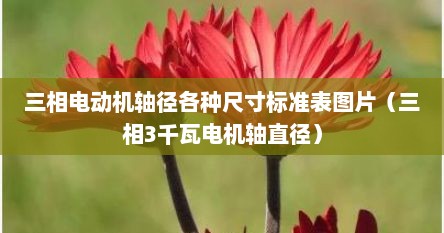 三相电动机轴径各种尺寸标准表图片（三相3千瓦电机轴直径）