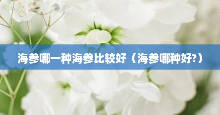 海参哪一种海参比较好（海参哪种好?）