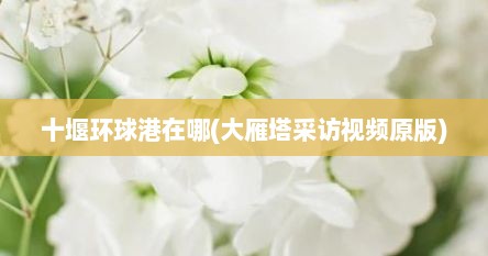 十堰环球港在哪(大雁塔采访视频原版)