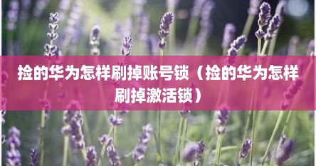 捡的华为怎样刷掉账号锁（捡的华为怎样刷掉激活锁）