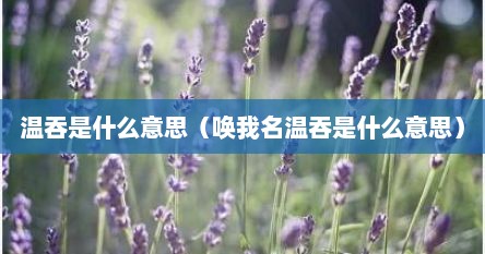 温吞是什么意思（唤我名温吞是什么意思）